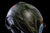 Icon Domain Tiger's Blood Helmet Icon Domain Tiger's Blood Helmet