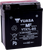Yuasa AGM Maintenance-Free Battery - YTX7L-BS - .33 L