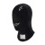 Alpinestars Race V3 Auto Racing / Karting Balaclava
