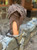 Earthy Chocolate Tuque 
