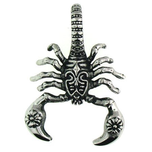  Large stainless Steel scorpion pendant with intricate detailing. 
 Approx. dimensions: 1.45 Inches  x 2.00 Inches

Comes with Free Stainless Steel Rope Chain

