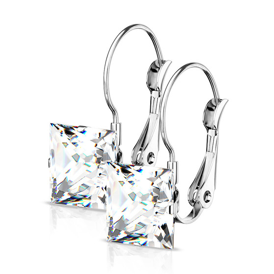 Stainless Steel Lever Back Earrings Cz