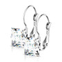 Stainless Steel Lever Back Earrings Cz