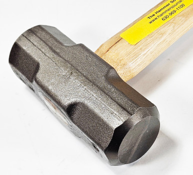ctpr60016_head__39951.