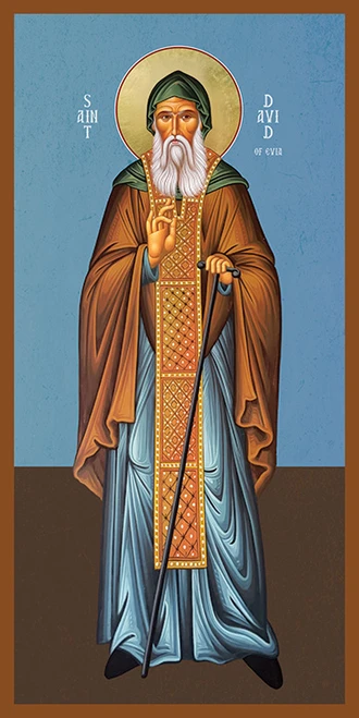 Icon of St. David of Evia  - (1DA45)