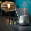 Ambre refresher Oil by Esteban