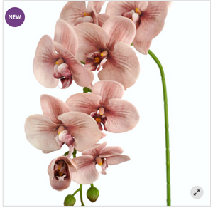 Pink Orchid 60cm
