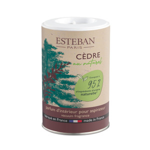 Vacuum cleaner Powder Cedre