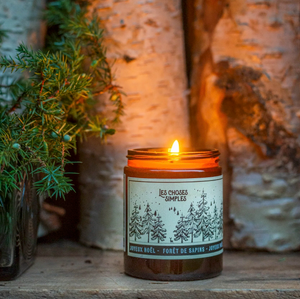 Forest Sapins - Noel Boxed Candle