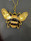 Bee Deco