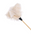 Ostrich White Feather Duster 50cm