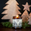 Forest Sapins - Noel Boxed Candle