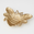 Gold Bee Shallow  bowl