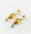 Pears earrings