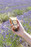 Lavender Hand Cream 75ml