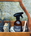 Dishwashing Liquid