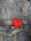 Red Heart Brooch