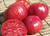 Pink  Brandywine Tomato - Tomato Seedling