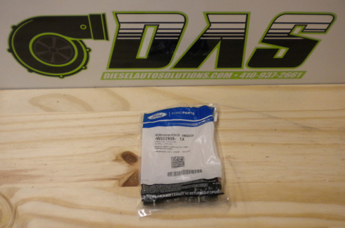 OIL RAIL DUMMY PLUG W302908