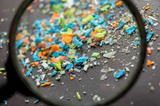 The Hidden Impact of Microplastics on Our Sense of Smell