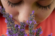 5 Reasons Why Scent is The Most Powerful of the Senses