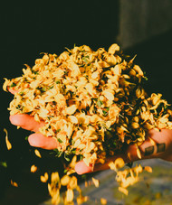 How Grasse’s Blooms Become the World’s Finest Perfumes