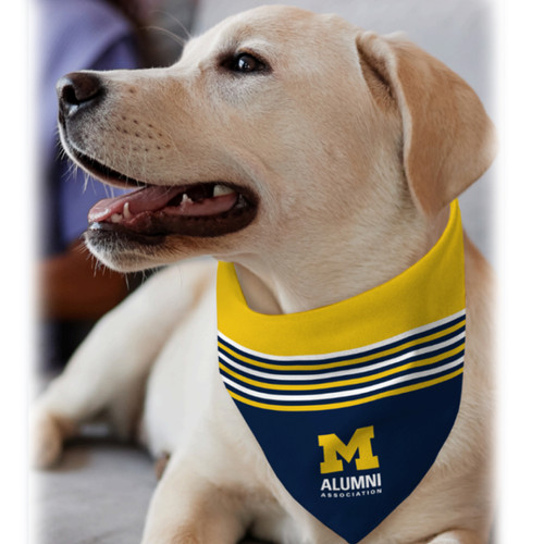 Large Dog Bandana (22"x22")