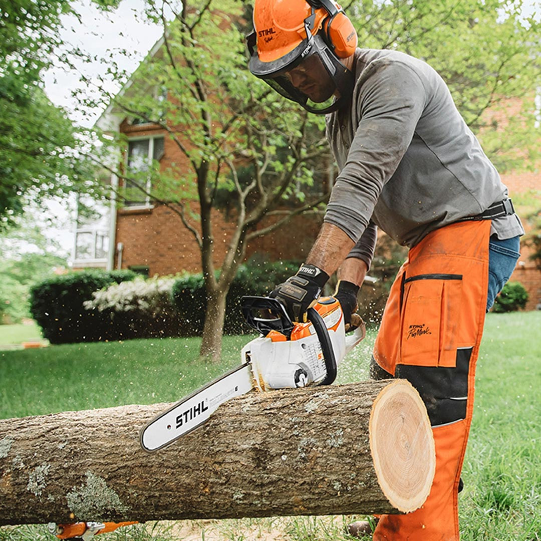 Stihl MSA 220 CB Battery Chainsaw | The 