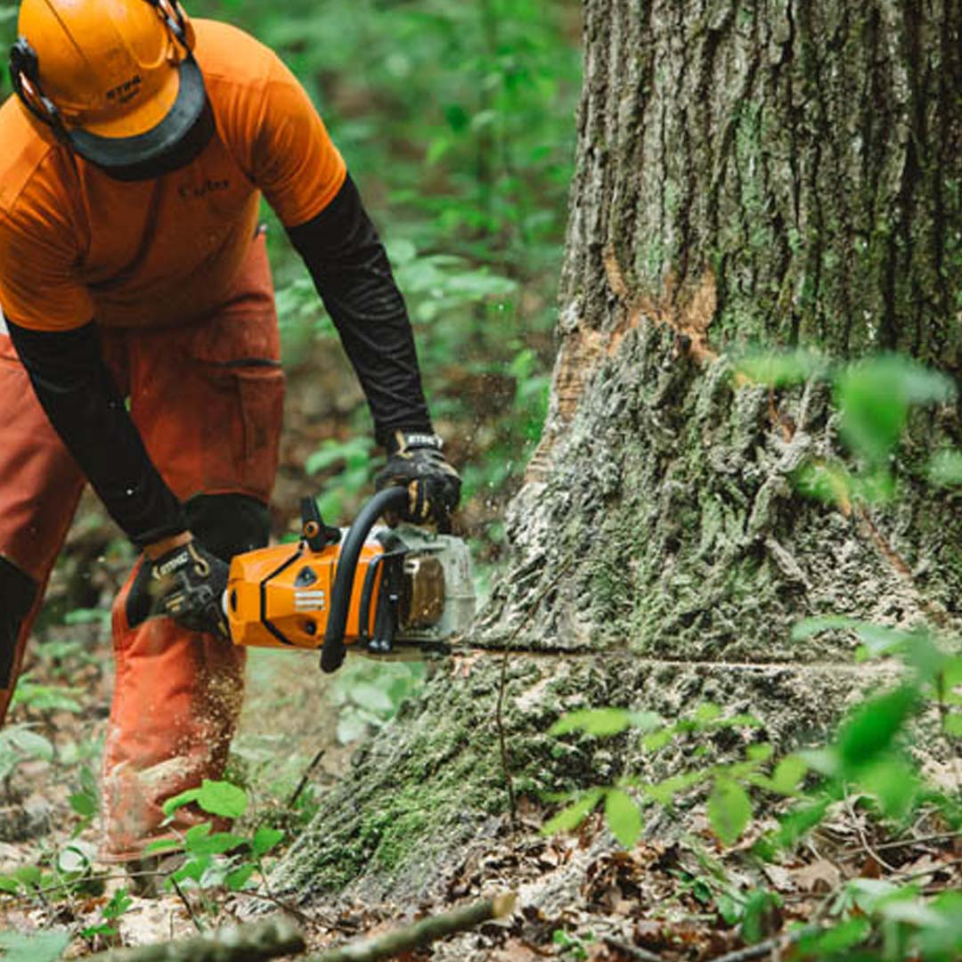 Stihl MS 500i 28 Inch Chainsaw | The 