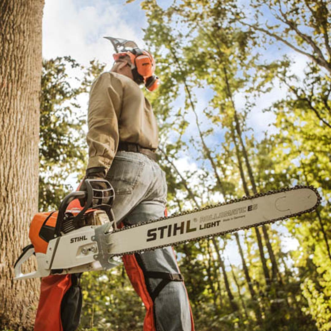 Stihl MS 661 Magnum 36 Inch Chainsaw 