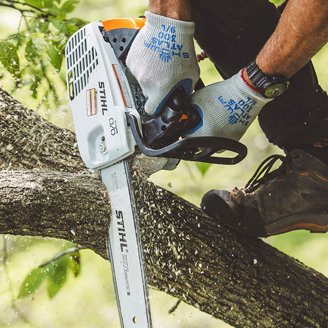 Stihl MS 194 T 12 Inch Climbing 