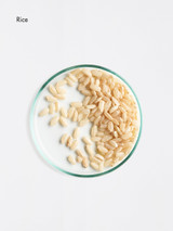 Glossing Cream Glossing Cream