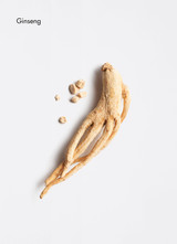 Hairloss Control Scalp Lotion