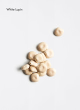 Vitalising Scalp Concentrate