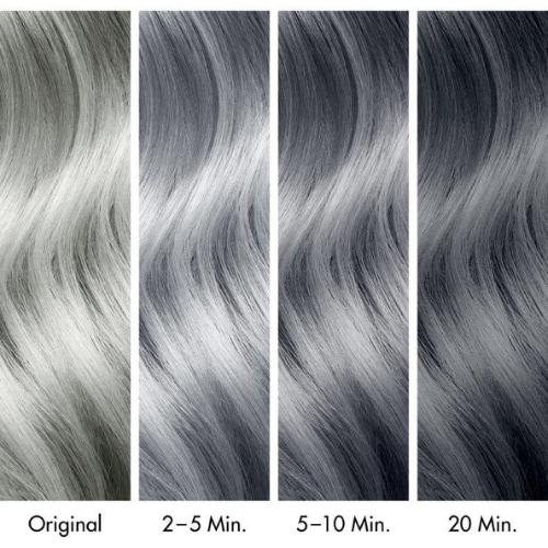 Glam + Colour: Steel Grey. 11. AA Colouring Toner (Toner 200ml + Skin Protecting Oil 5ml) banner