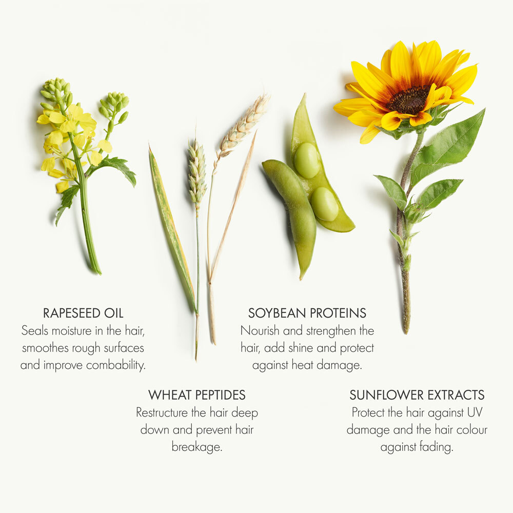 Belesthétique The Concentrate banner