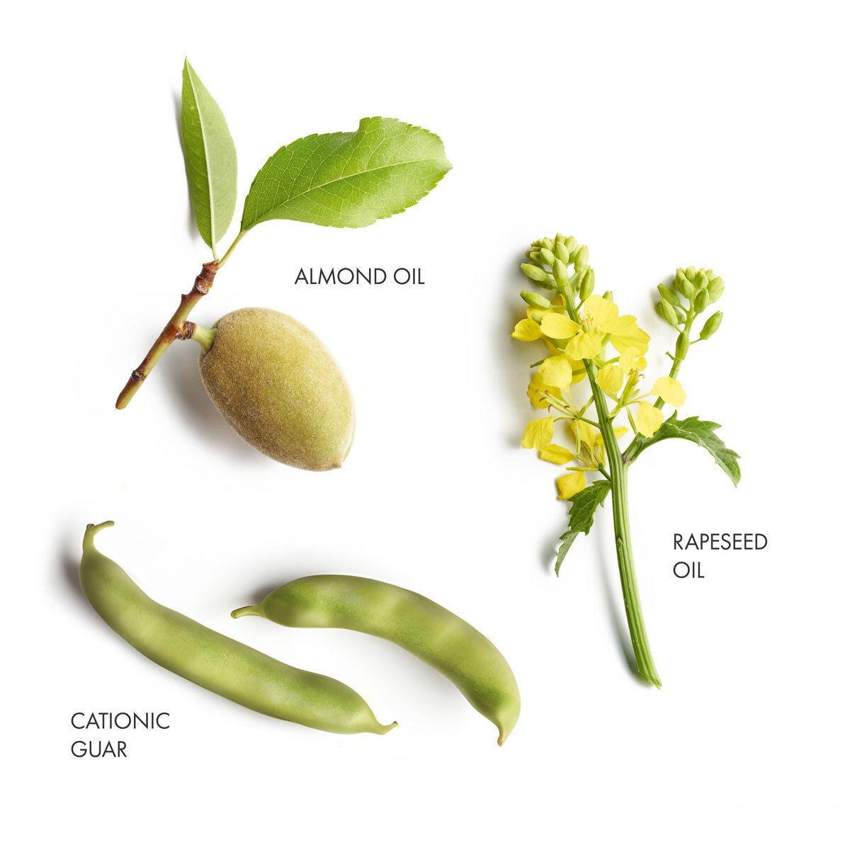 Frizz Control Smoothing Conditioner banner