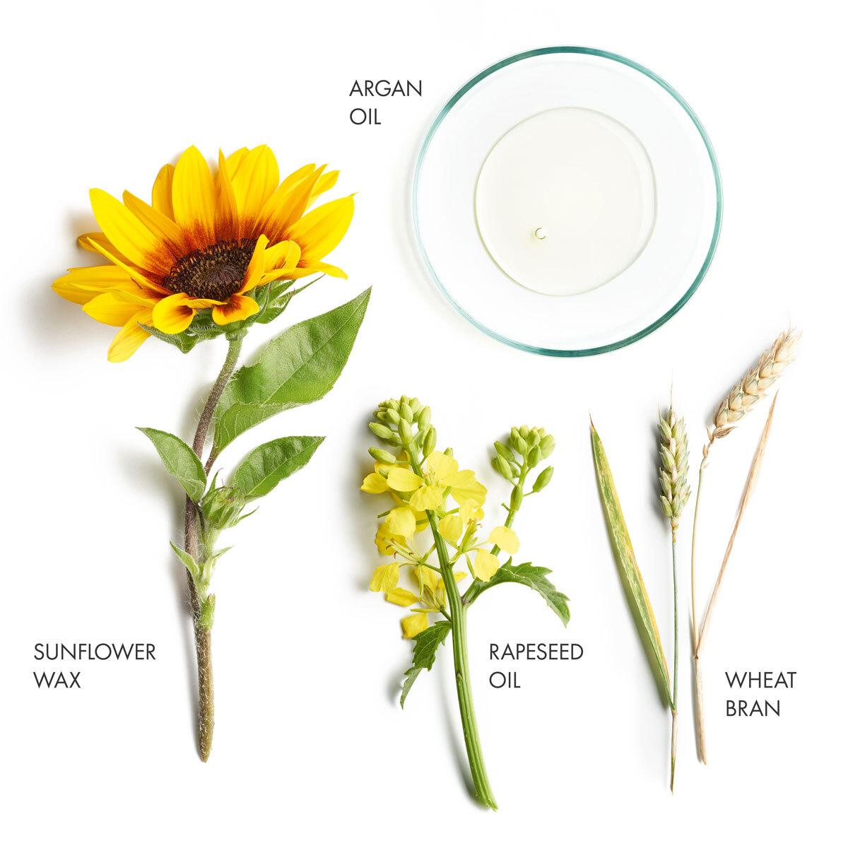 Long Hair Refreshing Dry Shampoo banner