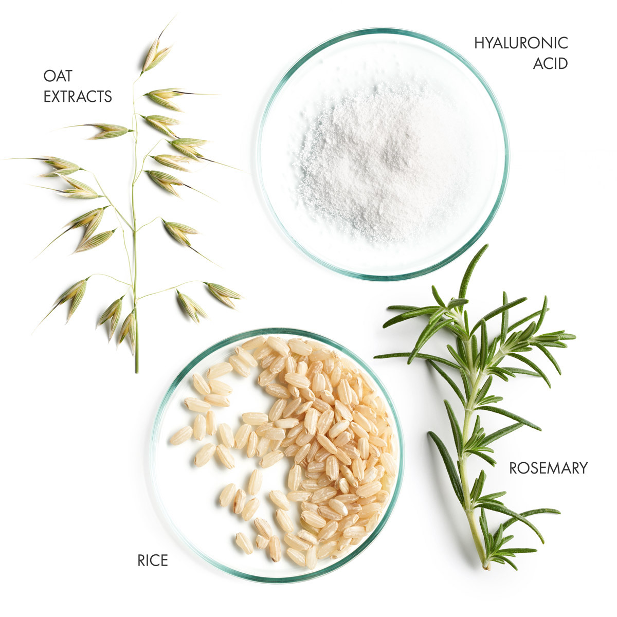 AGE 3 Age Reversing Night Cream banner