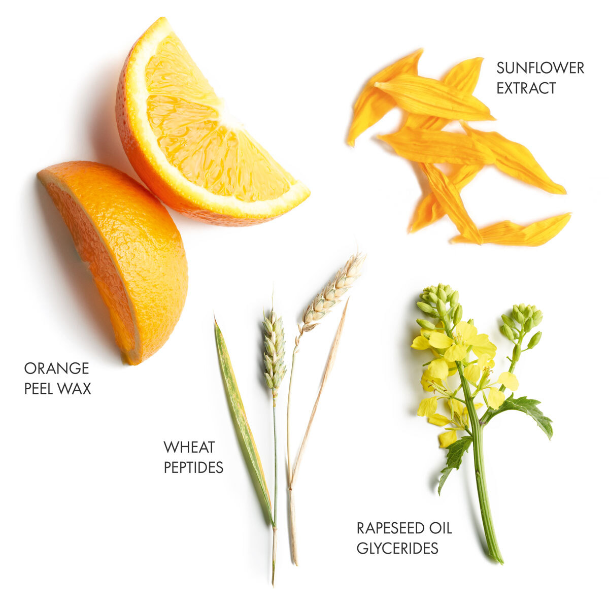 After-Sun Hydrating Hair Mask banner