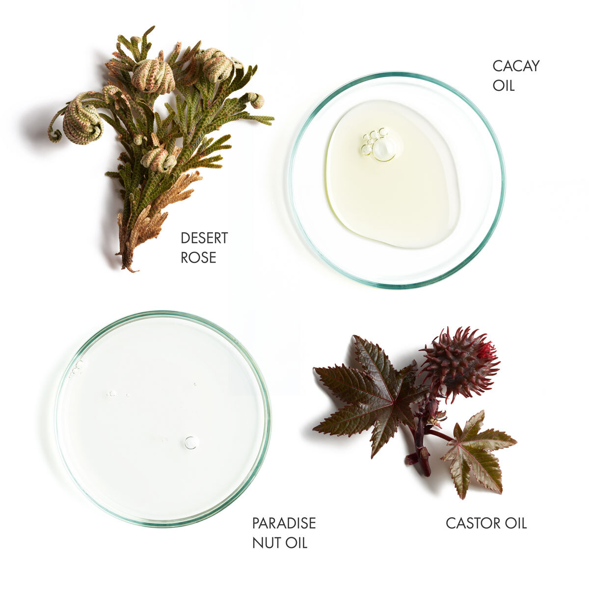 Nourishing Shampoo banner