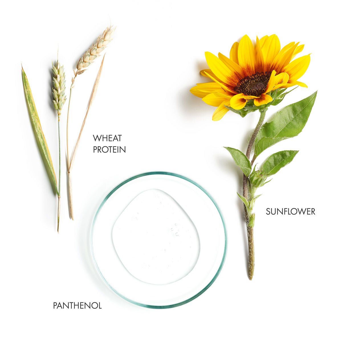 Glossing Spray banner