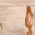 TNTL-21059VOD - Detail 1.jpg