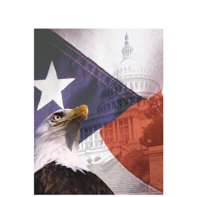 Eagle of America Facebook Cover Photo