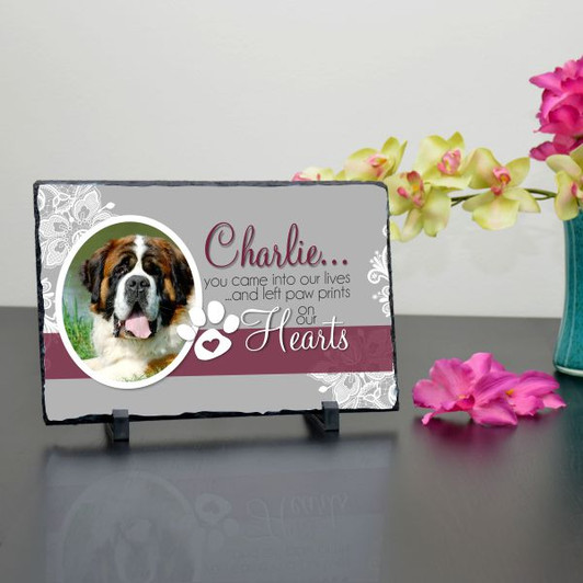 Pet in Our Lives Large Photo Plaque