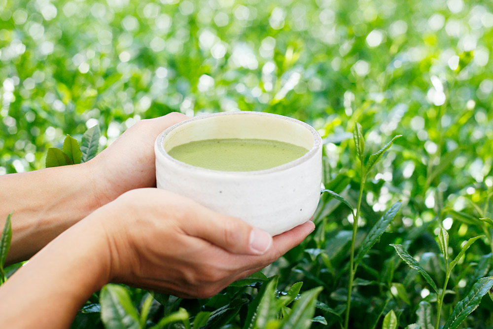 The Different Grades of Matcha AIYA Matcha