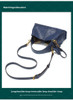 Senior sense of niche light luxury ostrich grain handbag female new fashion hundred temperament shoulder crossbody bag