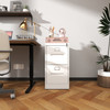 2 Drawer File Cabinet with Lock Metal Vertical File Cabinet Office Home, A4 Legal/Letter Size Narrow File Cabinet Locked,Assembly Required