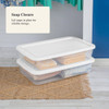 41qt Clear Under Bed Storage Box White