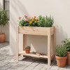 Wooden Raised Garden Bed with Legs and Storage Shelf